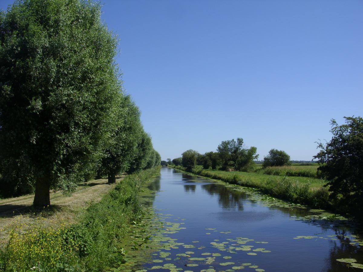Gite à la ferme entre Terre et Mer Hérenguerville Exterior foto